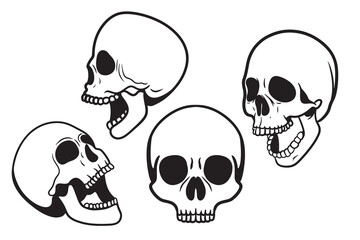 Set of skull drawings of human skull Vector