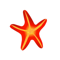 Obraz premium red starfish isolated on white