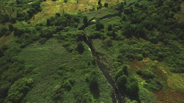 Zigzag River in wild. Water supply. Small river in field and forest in swamp, Aerial view. Wildlife Refuge Wetland Restoration. Green Nature Scenery. River in Wildlife. Freshwater Lakes and Ecosystem.