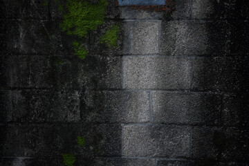 이끼가 낀 담벼락