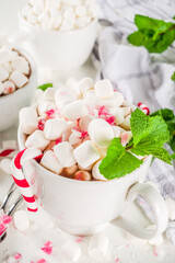  Homemade Peppermint Hot Chocolate