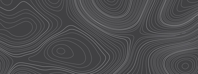 The stylized black and white abstract topographic map with lines and circles background. Topographic map and place for texture. Topographic gradient linear background with copy space. 