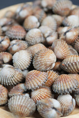 dolly shot of cockles on a plate 
