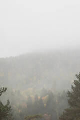 Fototapeta na wymiar autumn and fog in the mountains. vertical photo. Photo wallpaper with mountain view, space for text