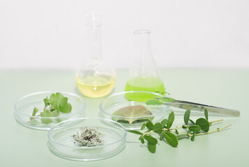 natural extracts in test tubes, plants in petri dishes and laboratory tweezers on a table.