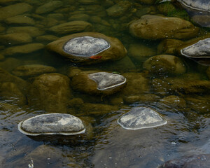 rocks on river bed