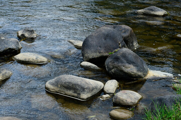 rocks on river bed