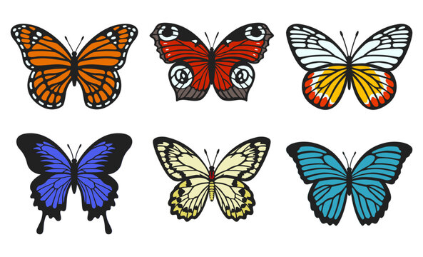 Butterfly collection. Realistic butterflies with textured wings. Monarch, peacock eye