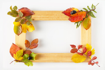 rectangular wooden frame decorated with colorful autumn leaves on a white background, space for text