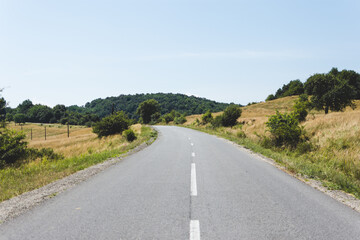 Road in nature between gills, trees and dried grass that takes on a forest