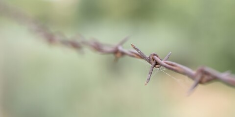 Detalle del alambre de una alambrada de espinas