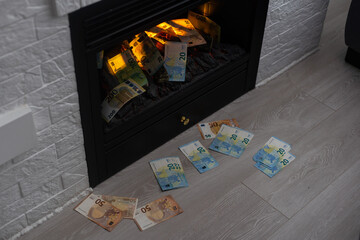 euro banknotes fire in fireplace