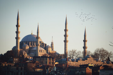 Fototapeta na wymiar Mosque in Istanbul at sunset
