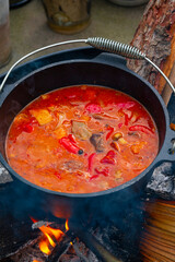 Kettle goulash is prepared over an open fire!
