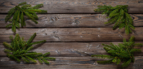 fir branch on old dark wooden background