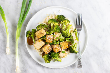 Teriyaki Tofu and Broccoli