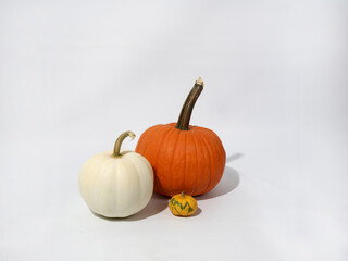 Fall Pumpkins on White Background