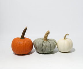 Fall Pumpkins on White Background