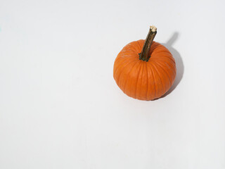 Fall Pumpkins on White Background