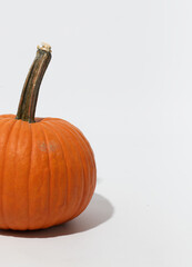 Fall Pumpkins on White Background