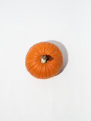 Obraz premium Fall Pumpkins on White Background