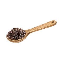 watercolor drawing wooden spoon with black pepper seeds, hand drawn illustration