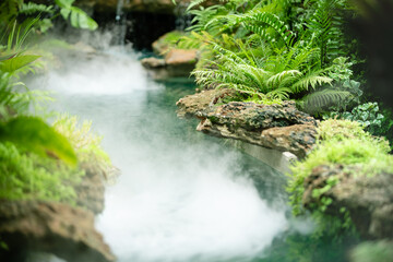 Green garden decoration with fog.