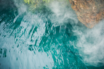 Green garden decoration with fog.