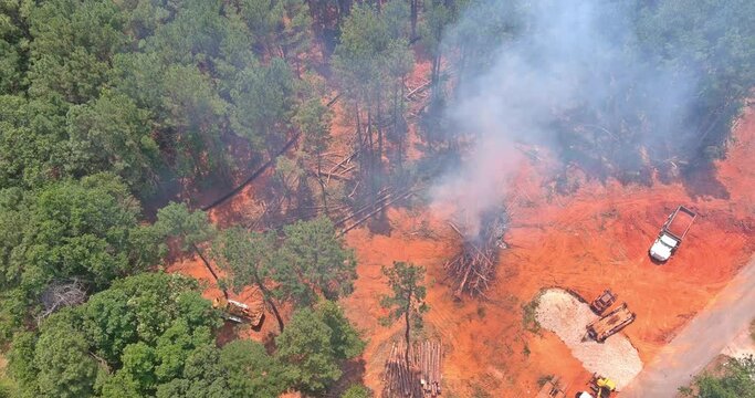 In order to prepare land for building homes, it is necessary destroy forests burn uprooted trees