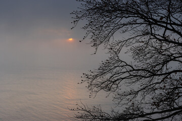 Silhouette of small branches with gloomy sea view.