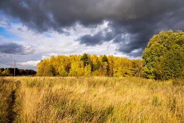 autumn landscape yellow trees and dark sky