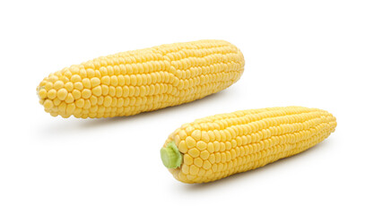 Fresh peeled sweet corn ears isolated on white background        
