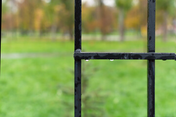 Large metal grating against the background of an autumn park