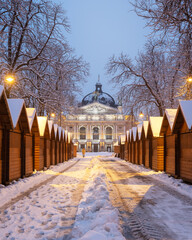 Solomiya Krushelnytska Lviv State Academic Theatre of Opera and Ballet in winter time. Wooden...