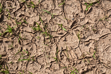 dry ground texture