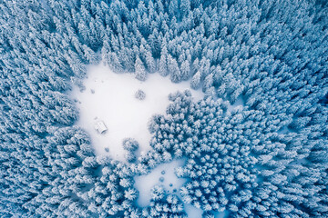 Aerial drone top down fly over winter spruce and pine forest with wooden cabin. Fir trees in mountains valley covered with snow. Landscape photography - obrazy, fototapety, plakaty