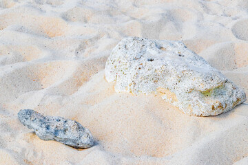 Stones shells corals on beach sand Playa del Carmen Mexico.