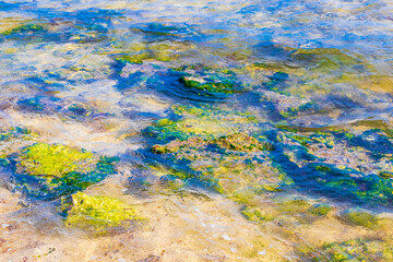 Fototapeta na wymiar Stones rocks corals turquoise green blue water on beach Mexico.