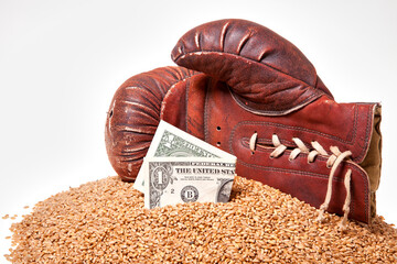 A boxing glove and money and grain. Wheat on a white background and a glove.