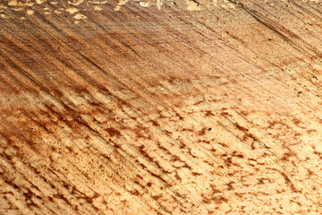 Wood texture, old colored light bright wooden texture - wooden background, panoramic banner