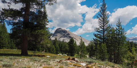 tuolumne meadows Yosemite national park  in the summer
