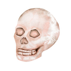 Watercolor halloween scull, isolated on transparent background