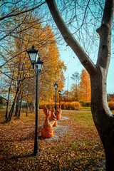 Lanterns in a beautiful autumn park on a sunny morning. Fallen leaves on the ground, trees without leaves