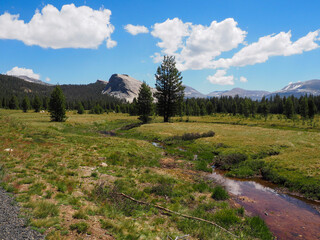 tuolumne meadows Yosemite national park  in the summer