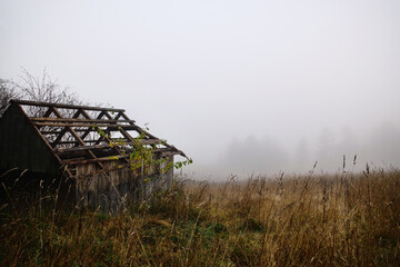 Old wooden cabin in the wilderness in the mountains during misty autumn weather.