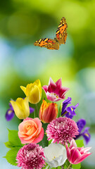  beautiful flowers in the garden closeup