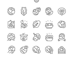 Cabbage vegetable. Farm market, vegetarian salad. Cooking, recipes and price. Food shop, supermarket. Pixel Perfect Vector Thin Line Icons. Simple Minimal Pictogram
