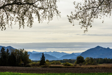 Blick über Grabenstätter Moor mit Bergen und Zweigen