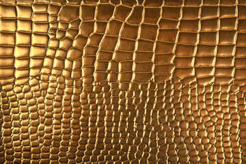 close up of the golden crodile leather
