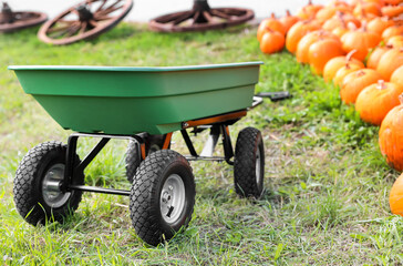 Green trolley near pumpkins at farm